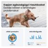 Tractive GPS DOG XL zöld kutya GPS nyomkövető és tevékenységfigyelő