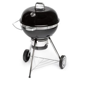 Fieldmann FZG 1017 faszenes grillsütő