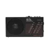 SAL RPH 1 Bluetooth/USB/SD napelemes hibrid rádió