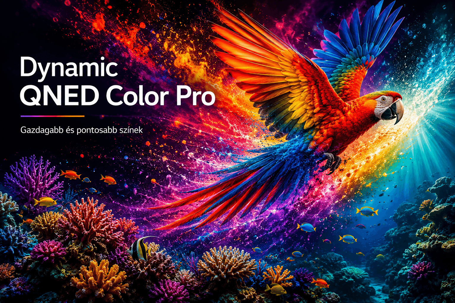 LG Dynamic QNED Color Pro