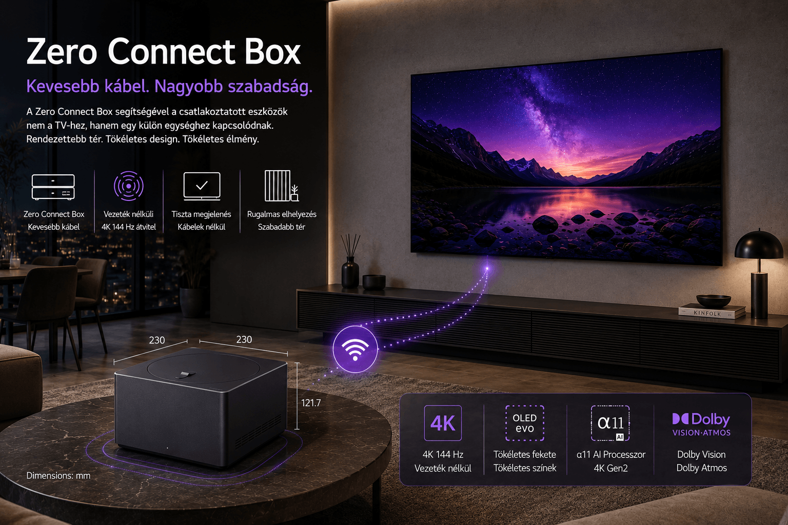 LG OLED M5 Zero Connect Box